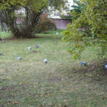 Interwencja (25 października 2016 r.) / Krzysztof Bujnowicz / Radio Kielce