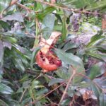 22.10.2016. Muzyczne Podróże Przez Świat. Cypr / Artiom Rogowicz