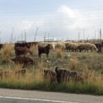 22.10.2016. Muzyczne Podróże Przez Świat. Cypr / Artiom Rogowicz