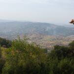 22.10.2016. Muzyczne Podróże Przez Świat. Cypr / Artiom Rogowicz