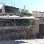 22.10.2016. Muzyczne Podróże Przez Świat. Cypr / Artiom Rogowicz