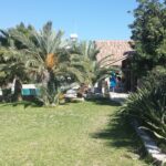 22.10.2016. Muzyczne Podróże Przez Świat. Cypr / Artiom Rogowicz