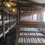 Muzyczne Podróże Przez Świat. Berlin (15 października 2016 r.) / Robert Soliński / Radio Kielce