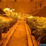 06.10.2016. Narkotyki w Sandomierzu / fot. świętokrzyska policja