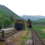 Muzyczne Podróże Przez Świat. Węgry (1 października 2016) / Jan Walczyński