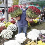 31.10.2016 Kielce. Chryzantemy / Jarosław Kubalski / Radio Kielce