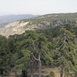 22.10.2016. Muzyczne Podróże Przez Świat. Cypr / Jerzy Jop / Radio Kielce