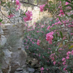 22.10.2016. Muzyczne Podróże Przez Świat. Cypr / Jerzy Jop / Radio Kielce