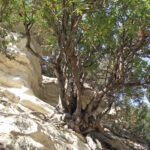 22.10.2016. Muzyczne Podróże Przez Świat. Cypr / Jerzy Jop / Radio Kielce