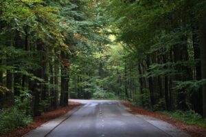 09.10.2016 Jesień na Świętym Krzyżu / Robert Felczak / Radio Kielce