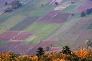 09.10.2016 Jesień na Świętym Krzyżu / Robert Felczak / Radio Kielce