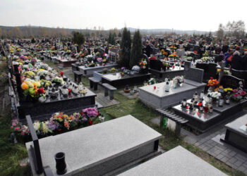 1.11.2013 Cmentarz w Cedzynie. Dzień Wszystkich Świętych. / Wojciech Habdas / Radio Kielce