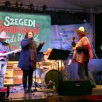 09.10.2016. Nocny spacer po Szeged / Kamil Król / Radio Kielce