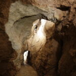 Fot. Jarosław Kubalski - Radio Kielce