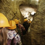 21.10.2016 Kielce. Dzieci zwiedzają jaskinię na Kadzielni w poszukiwaniu nietoperzy. / Jarosław Kubalski / Radio Kielce