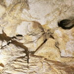 21.10.2016 Kielce. Dzieci zwiedzają jaskinię na Kadzielni w poszukiwaniu nietoperzy. / Jarosław Kubalski / Radio Kielce