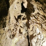 21.10.2016 Kielce. Dzieci zwiedzają jaskinię na Kadzielni w poszukiwaniu nietoperzy. / Jarosław Kubalski / Radio Kielce