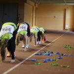 24.10.2016 Kielce. Arkadiusz Rzepka, trener przygotowania fizycznego polskiej kadry piłki nożnej prowadzi warsztaty dla nauczycieli wychowania fizycznego. / Jarosław Kubalski / Radio Kielce