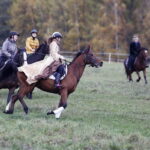 30.10.2016 Oblęgorek. Hubertus. Pogoń za lisem. / Jarosław Kubalski / Radio Kielce