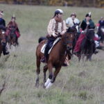 30.10.2016 Oblęgorek. Hubertus. Pogoń za lisem. / Jarosław Kubalski / Radio Kielce
