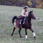 30.10.2016 Oblęgorek. Hubertus. Pogoń za lisem. / Jarosław Kubalski / Radio Kielce