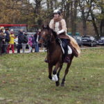 30.10.2016 Oblęgorek. Hubertus. Pogoń za lisem. / Jarosław Kubalski / Radio Kielce