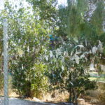 22.10.2016. Muzyczne Podróże Przez Świat. Cypr / Artiom Rogowicz