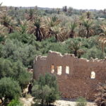 Syria. Palmira. (lipiec 2008 r.) / Jerzy Jop / Radio Kielce