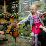 2.10.2016 Kielce. Hubertus Świętokrzyski. Prezentacja ptaków drapieżnych. / Wojciech Habdas / Radio Kielce