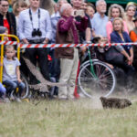 2.10.2016 Kielce. Hubertus Świętokrzyski. Prezentacja ptaków drapieżnych. / Wojciech Habdas / Radio Kielce