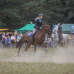 2.10.2016 Kielce. Hube2.10.2016 Kielce. Hubertus Świętokrzyski. Pogoń za lisem. / Wojciech Habdas / Radio Kielce