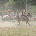 2.10.2016 Kielce. Hube2.10.2016 Kielce. Hubertus Świętokrzyski. Pogoń za lisem. / Wojciech Habdas / Radio Kielce