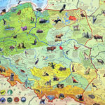 5.10.2016 Kielce. I Europejskie Forum nowych technologii w Edukacji w Targach Kielce. / Wojciech Habdas / Radio Kielce