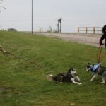 09.10.2016 Kielce. Rajd "Psim Tropem" / Wojciech Habdas / Radio Kielce