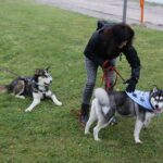 09.10.2016 Kielce. Rajd "Psim Tropem" / Wojciech Habdas / Radio Kielce