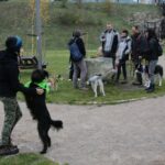 09.10.2016 Kielce. Rajd "Psim Tropem" / Wojciech Habdas / Radio Kielce