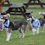 09.10.2016 Kielce. Rajd "Psim Tropem" / Wojciech Habdas / Radio Kielce