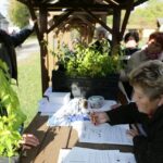 09.10.2016 Tokarnia. Piknik Pszczelarski / Wojciech Habdas / Radio Kielce