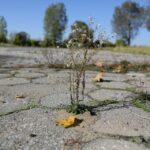 14.10.2016 Kielce. Dawna zajezdnia MKP przy ulicy Pakosz. Właściciel hotelu "Binkowski" zamierza wybudować tu piłkarski ośrodek szkoleniowy. / Wojciech Habdas / Radio Kielce