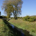 14.10.2016 Kielce. Dawna zajezdnia MKP przy ulicy Pakosz. Właściciel hotelu "Binkowski" zamierza wybudować tu piłkarski ośrodek szkoleniowy. / Wojciech Habdas / Radio Kielce