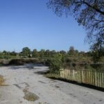 14.10.2016 Kielce. Dawna zajezdnia MKP przy ulicy Pakosz. Właściciel hotelu "Binkowski" zamierza wybudować tu piłkarski ośrodek szkoleniowy. / Wojciech Habdas / Radio Kielce