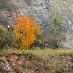 16.10.2016 Kielce. Ekstremalny Bieg Pamięci Polskiego Państwa Podziemnego / Wojciech Habdas / Radio Kielce