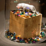 21.10.2016 Kielce. Jaśmina Parkita - Space Voyage, czyli jak wygląda moje niebo. / Wojciech Habdas / Radio Kielce