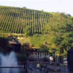 Muzyczne Podróże Przez Świat. Alzacja (8 października 2016 r.) / Anna Wiaderny / Radio Kielce