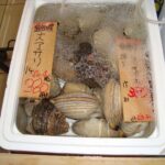 Muzyczne Podróże Przez Świat. Japonia.Kioto-Osaka (12 listopada 2016 r.) / Maciej Tuz / Radio Kielce