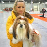 Kielce. XI Międzynarodowa Wystawa Psów Rasowych (13 listopada 2016) / Kamil Król / Radio Kielce