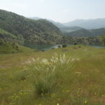 Armenia / prof. Renata Piwowarczyk