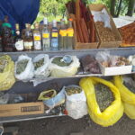 Armenia / prof. Renata Piwowarczyk