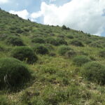 Armenia / prof. Renata Piwowarczyk