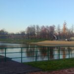 22.11.2016. Zalew w Jędrzejowie / Ewa Pociejowska-Gawęda / Radio Kielce